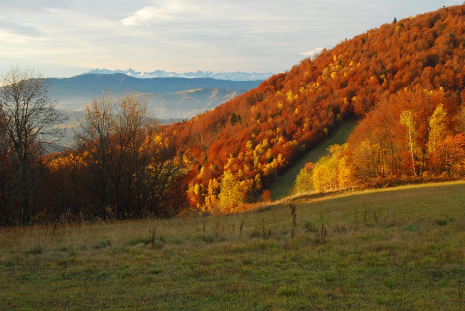 Noclegi w Beskidzie Wyspowym - Malinowy Domek