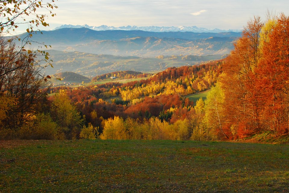 Pokoje gościnne w Beskidzie Wyspowym - Malinowy Domek