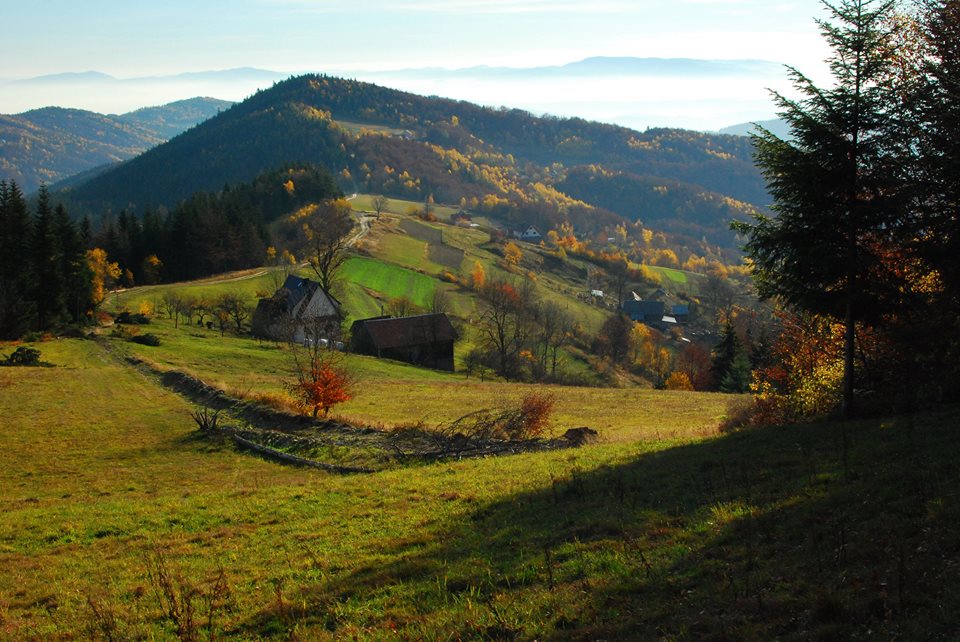Noclegi w Młyńczyskach - Malinowy Domek