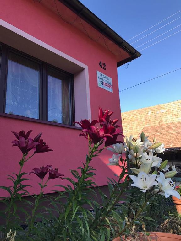 Malinowy Domek agroturystyka, pokoje do wynajęcia, pokoje gościnne, noclegi, wyżywienie, wczasy, urlop.