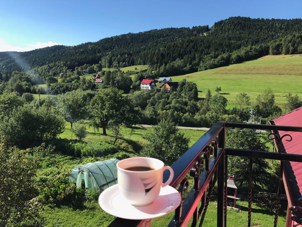 Widok z balkonu w Malinowym Domku